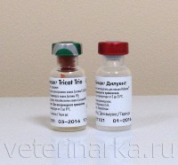 Un vaccin pentru pisici Nobivac trio triketene (Nobivac tricat Trio) - Instrucțiuni de utilizare