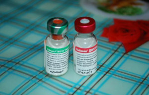 Nobivac vaccin pentru pisici - de revizuire, manual, pret