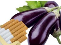 Ce produse conțin nicotină