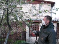 Dăunătorii plantelor de interior pentru a procesa decât flori de dăunători