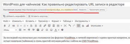 Wordpress pentru Dummies cum să editați intrările URL-ul din editor