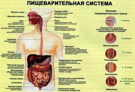 simptome Holetsistopankreatit, tratament, medicamente și naționale