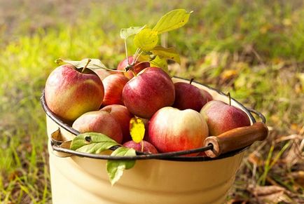 Oțet de mere pentru clateste parul, măști și comentarii