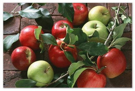 Applesauce pentru sugari, atunci când modul de a introduce alimente solide, retete culinare