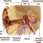 Congestia în urechi fără durere cum să scapi de răceli
