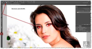 Înlocuirea culorii ochilor în Photoshop în limba rusă - blog-ul Alla Bazyleva, formula succesului