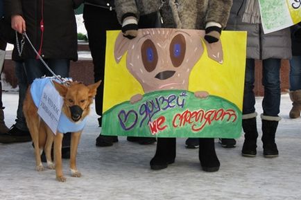 Protejarea depărtează de raliu lipsit de suflet“împotriva uciderii câinilor vagabonzi colectat mai mult de 150 în Barnaul