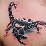 Valoarea unui tatuaj scorpion - sensul, istorie, exemple