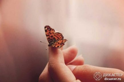 Butterfly ca persoană