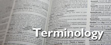 Care sunt termenii și definițiile