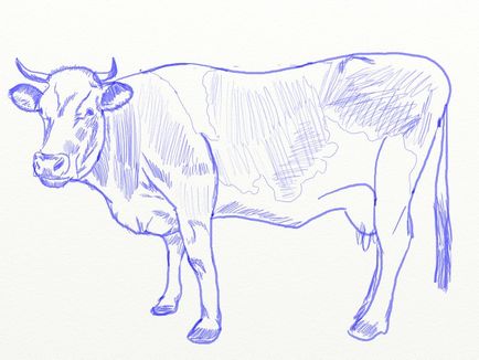 Desen pentru copii de vacă