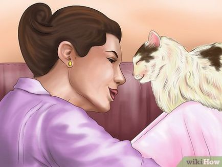 Cum să vorbești cu pisici