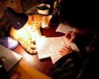 Cum să se pregătească pentru examenul la matematică Cum să se pregătească pentru examenul la matematică