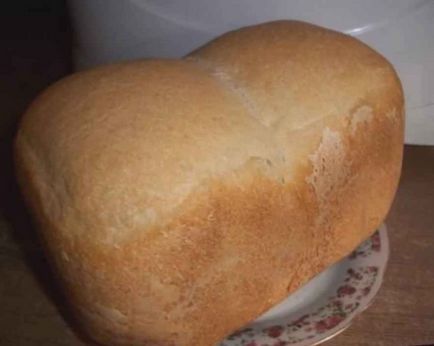 Cum de a alege un aparat de făcut pâine recenzii