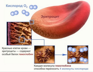 Cum de a crește hemoglobina droguri