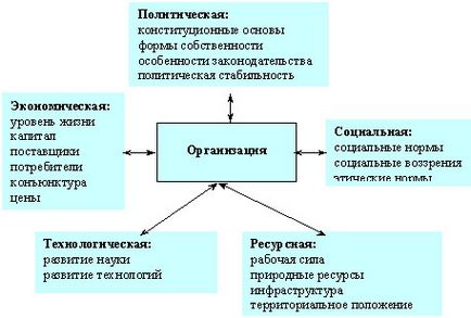 organizație comercială ca sistem