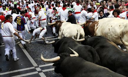 Cursa cu tauri din Pamplona - știri în imagini