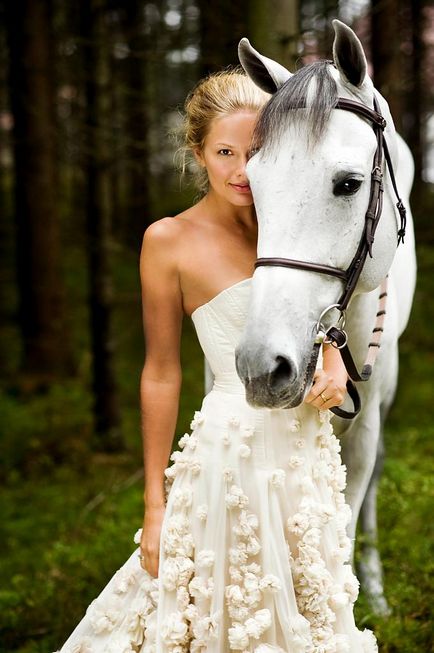 cal alb pentru mireasa - pentru a face nunta o reclamă, inimitabil și exclusivă