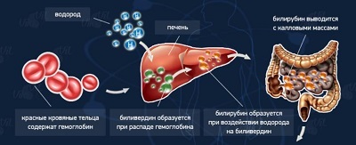 Analiza biochimică a sângelui care arată