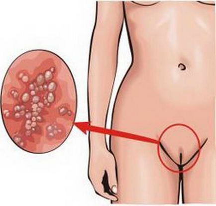 Analiza biochimică a sângelui - norma, descifrarea analiza biochimică a sângelui