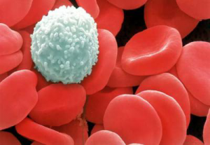 Analiza biochimică a decodificare sângelui, rata