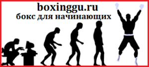 Box pentru începători - lecții de box pentru începători și amatori
