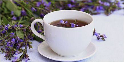 Ceaiul de salvie cu beneficii și prejudicii de băutură populară