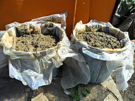 Arcul murdărirea coacăz (coacăze) Stafidele primăvară fertiliza