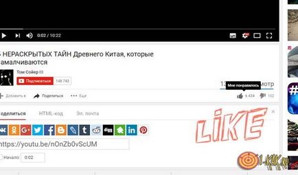 Ce este place, în cazul în care se aplică, ceea ce înseamnă că modul de a pune husky VKontakte, și colegii