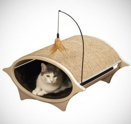 Casa pisica (foto selecție și opțiuni pentru fabricarea sa)