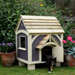 Casa pisica (foto selecție și opțiuni pentru fabricarea sa)
