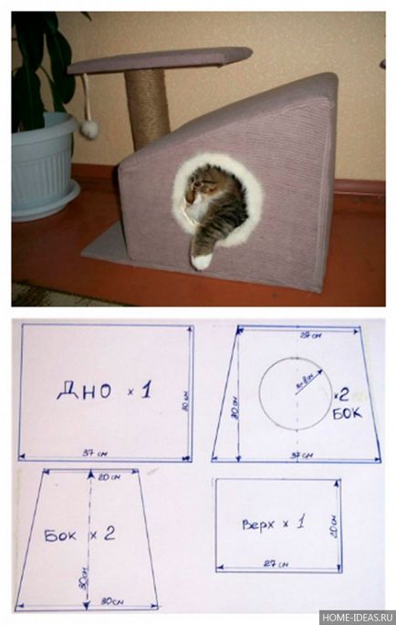 casă mică pentru o pisica cu mâinile sale desene dimensionale, atelier video de