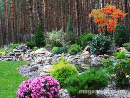 Fotografie - Landscape Design