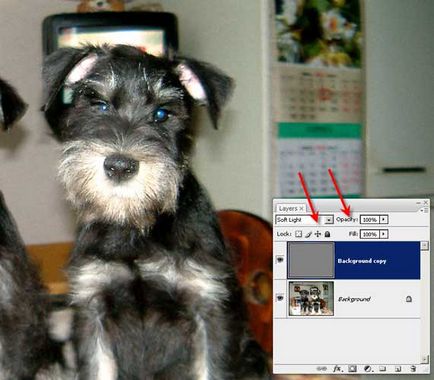 Photoshop - Photoshop, metode de ascuțit (creștere) Photoshop - Photoshop, tehnici de ascuțit