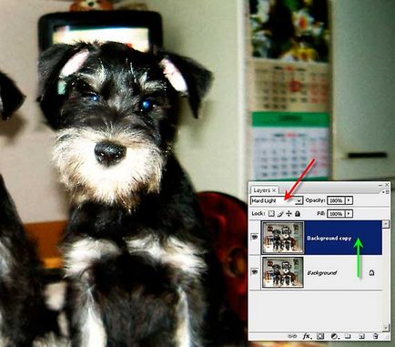 Photoshop - Photoshop, metode de ascuțit (aplicarea unui nou strat) Photoshop - Photoshop, tehnici de ascuțit