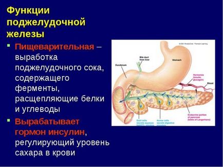 Funcția pancreatică în corpul uman, pancreatită