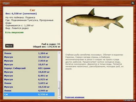 În cazul în care sunt pestele musca din Karelia, sfaturi pescar