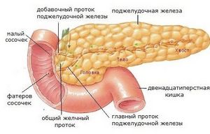 În cazul în care în corpul uman este pancreasul