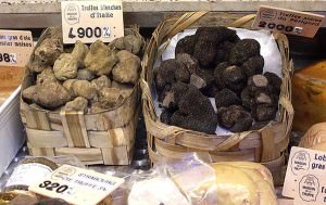În cazul în care în România cresc ciuperci trufe alb și negru dacă să ridice propriul preț