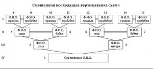 Un arbore genealogic cu mâinile