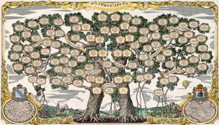 Family Tree - arbore genealogic, prețul de desen, fotografie
