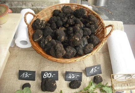 avantaje și prejudicii Truffle ciuperci, descriere și specii, în cazul în care crește și aplicarea