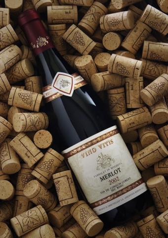 In vino veritas, sau tot adevărul despre vin (riscul de boli cardiovasculare) In vino veritas, sau întregul adevăr despre vin