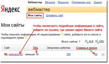 Cum să adăugați site-ul motor de căutare Yandex, Google, hoinar, e-mail, blog-saytostroitelya
