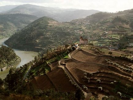 Cum și cu ce să bea vin de Porto - secretele vinului portughez