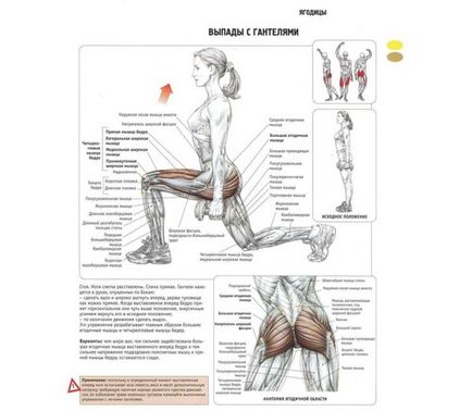 Cum de a construi fese genuflexiuni, exerciții, video