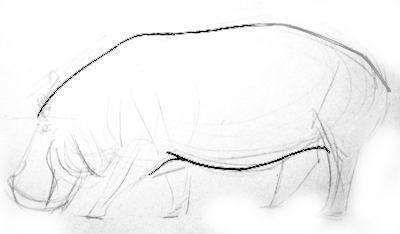 Cum de a desena un Hippo (gippopopotama)