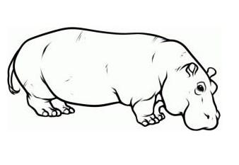 Cum de a desena un hipopotam cu un creion, treptat, pentru copii