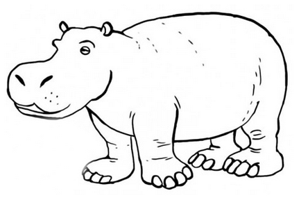 Cum de a desena un hipopotam - logo design si identitate vizuala, crearea site-ului