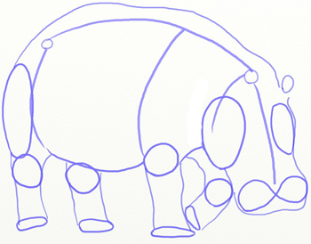 Cum de a desena o imagine Hippo Hippo în etape